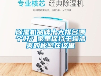 企业新闻除湿机品牌十大排名哪个好？家里保持干燥清爽的秘密在这里