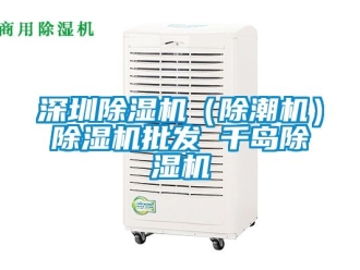 行业新闻深圳除湿机（除潮机）除湿机批发 千岛除湿机
