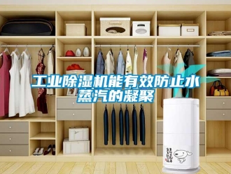 企业新闻工业除湿机能有效防止水蒸汽的凝聚