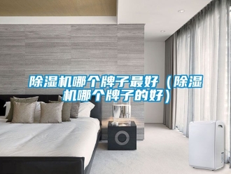 行业新闻除湿机哪个牌子最好（除湿机哪个牌子的好）