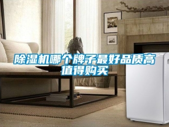 行业新闻除湿机哪个牌子最好品质高值得购买