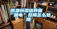 恒温恒湿培养箱“跳电”故障怎么处理