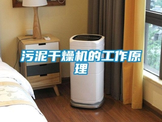 知识百科污泥干燥机的工作原理