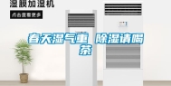 春天湿气重 除湿请喝茶