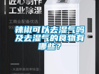 常见问题辣椒可以去湿气吗及去湿气的食物有哪些？