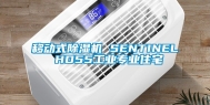 移动式除湿机 SENTINEL HD55工业专业住宅