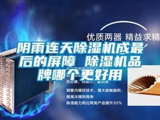 知识百科阴雨连天除湿机成最后的屏障 除湿机品牌哪个更好用
