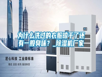 知识百科为什么洗过的衣服晾干了还有一股臭味？_除湿机厂家