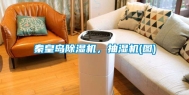 秦皇岛除湿机，抽湿机(图)