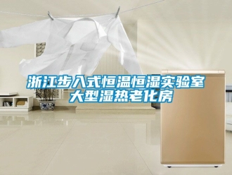 知识百科浙江步入式恒温恒湿实验室 大型湿热老化房
