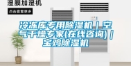 冷冻库专用除湿机｜空气干燥专家(在线咨询)｜宝鸡除湿机