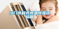 江门可程式恒温恒湿试验箱