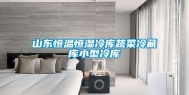 山东恒温恒湿冷库蔬菜冷藏库小型冷库