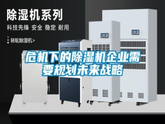 知识百科危机下的除湿机企业需要规划未来战略