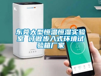知识百科东莞大型恒温恒湿实验室 订做步入式环境试验箱厂家