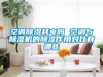 行业新闻空调除湿耗电吗 空调与除湿机的除湿作用对比有哪些