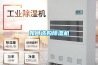如何选购除湿机