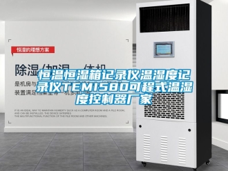 知识百科恒温恒湿箱记录仪温湿度记录仪TEMI580可程式温湿度控制器厂家