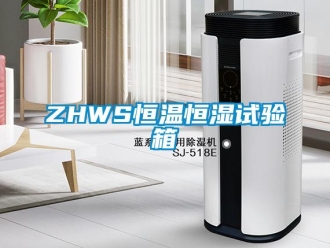 常见问题ZHWS恒温恒湿试验箱