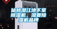 仙桃潜江地下室除湿机，湿菱除湿机品牌