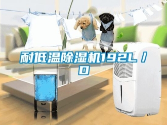 行业新闻耐低温除湿机192L／D