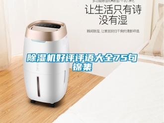 行业新闻除湿机好评评语大全75句锦集