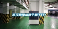 吊顶除湿机哪个牌子好？