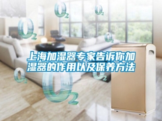 知识百科上海加湿器专家告诉你加湿器的作用以及保养方法