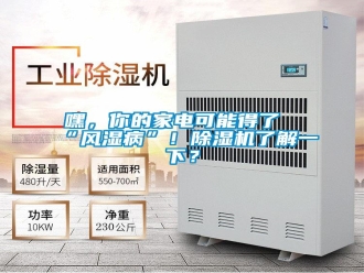 行业新闻嘿，你的家电可能得了“风湿病”！除湿机了解一下？