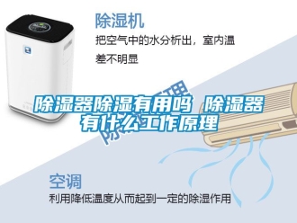 行业新闻除湿器除湿有用吗 除湿器有什么工作原理