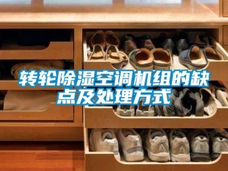 常见问题转轮除湿空调机组的缺点及处理方式