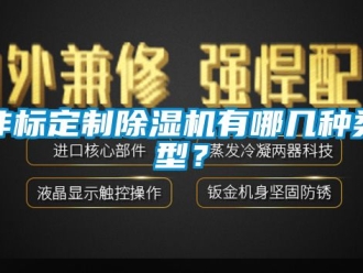 行业新闻非标定制除湿机有哪几种类型？