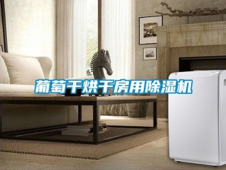 行业新闻葡萄干烘干房用除湿机