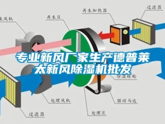 企业新闻专业新风厂家生产德普莱太新风除湿机批发