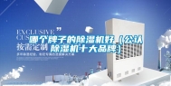 哪个牌子的除湿机好（公认除湿机十大品牌）