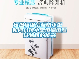 知识百科恒温恒湿试验箱小型 如何分辨小型恒温恒湿试验箱的优劣
