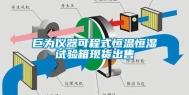 巨为仪器可程式恒温恒湿试验箱现货出售