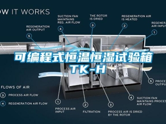 知识百科可编程式恒温恒湿试验箱 TK-H