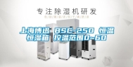 上海博迅 BSC-250 恒温恒湿箱 控温范围0~60℃