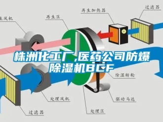 企业新闻株洲化工厂,医药公司防爆除湿机BCF