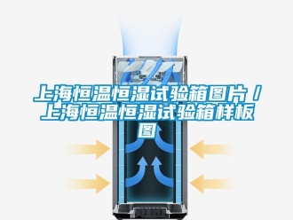 知识百科上海恒温恒湿试验箱图片／上海恒温恒湿试验箱样板图