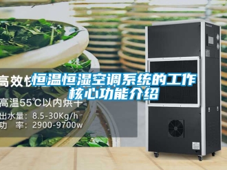 知识百科恒温恒湿空调系统的工作核心功能介绍