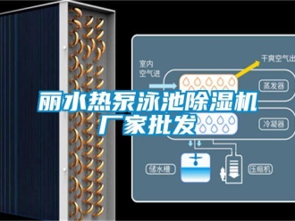 企业新闻丽水热泵泳池除湿机厂家批发