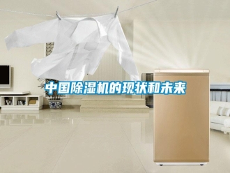 知识百科中国除湿机的现状和未来