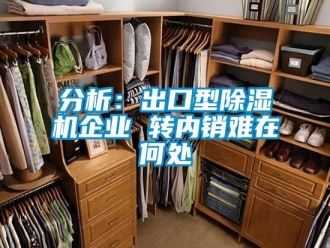 企业新闻分析：出口型除湿机企业 转内销难在何处