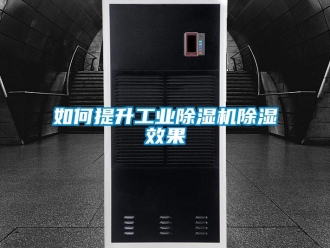 常见问题如何提升工业除湿机除湿效果