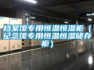 知识百科档案馆专用恒温恒湿柜（纪念馆专用恒温恒湿储存柜）