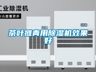 企业新闻茶叶摊青用除湿机效果好