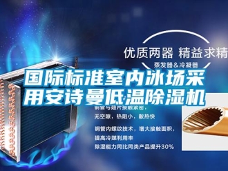 企业新闻国际标准室内冰场采用安诗曼低温除湿机