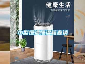 知识百科小型恒温恒湿箱直销